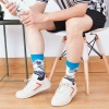 Oil painting export socks, spring and autumn trendy socks, men's socks, ins windblown socks, women's cotton wholesale details Picture